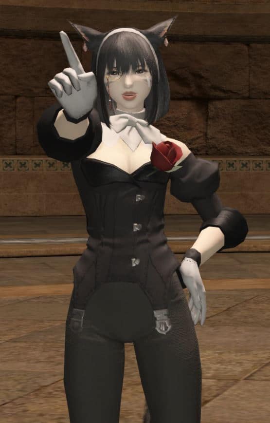 Miqo Te Guide The Ffxiv Feline Race Final Fantasy Insider