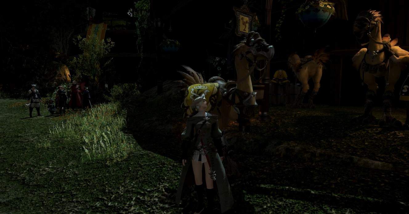 final fantasy XIV My Little Chocobo